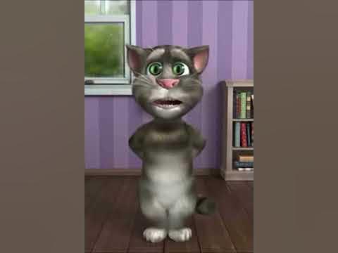 Beyond Euro Price: Unexpected Data from Egypt Scrape